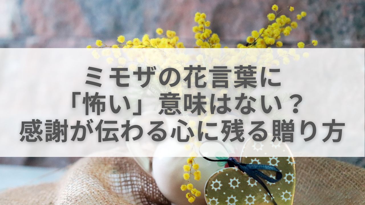 ミモザの花言葉に「怖い」意味はない？先輩への感謝が伝わる、心に残る贈り方