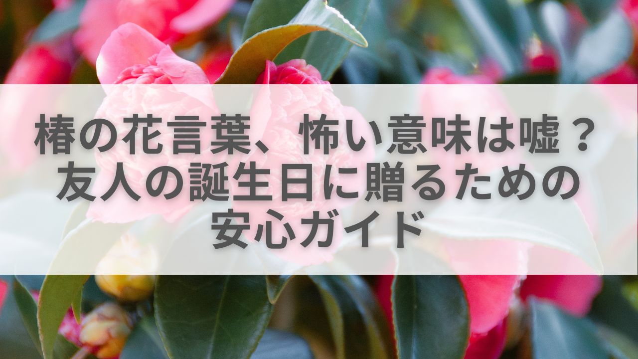 椿の花言葉、怖い意味は嘘？友人の誕生日に贈るための安心ガイド